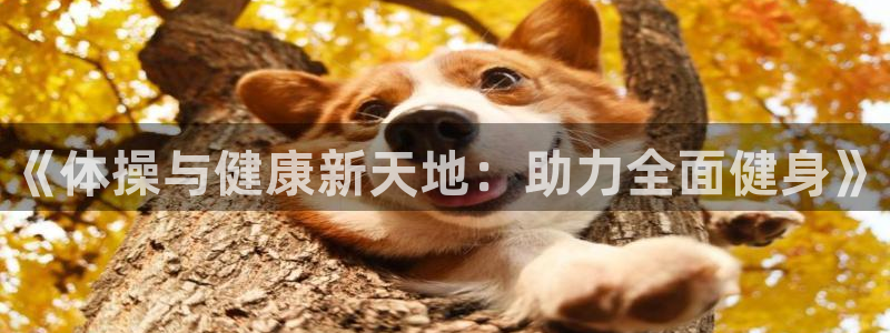 3377体育官网下载招商电话号码是多少号：《体操与健