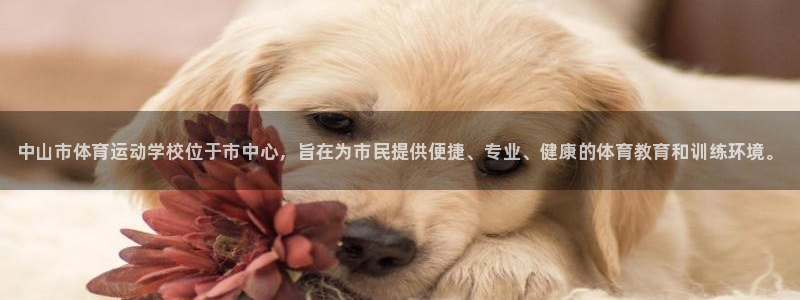 3377体育官网下载平台注册流程图：中山市体育运动学