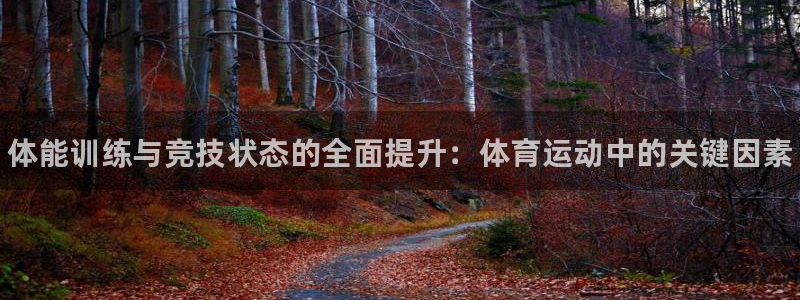 3377体育官方正版app娱乐首页网站大全：体能训练