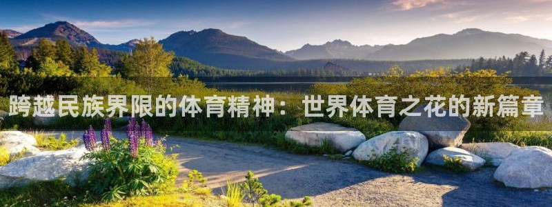 3377体育官方正版app新能源：跨越民族界限的体育