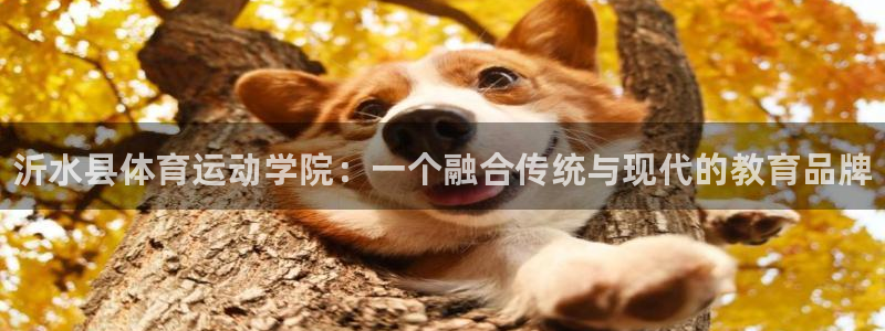 3377体育官网下载招商电话号码是多少啊：沂水县体育