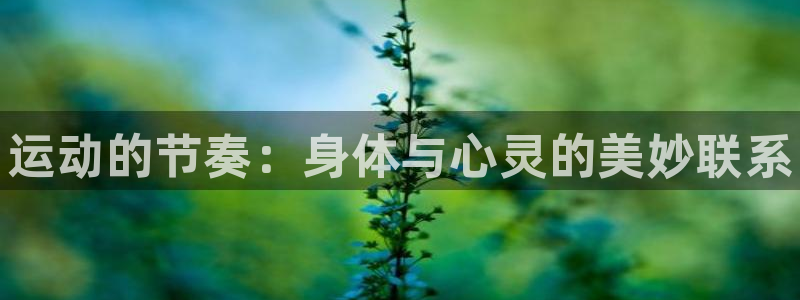 海南3377体育官网下载发展怎么样：运动的节奏：身体