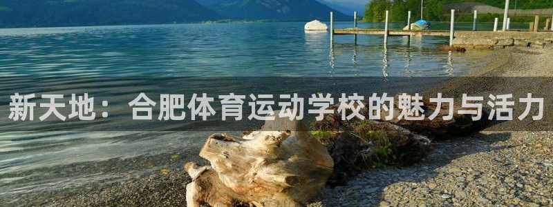 3377体育官方正版app集团logo：新天地：合肥