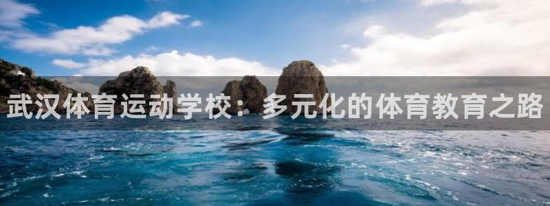 3377体育官网下载娱乐：武汉体育运动学校：多元化的