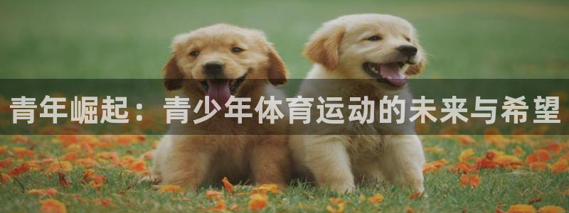3377体育官网下载招商电话号码查询是多少：青年崛起