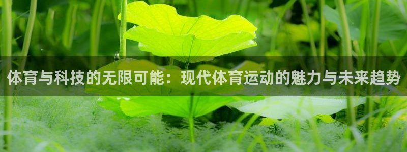3377体育官网下载开户：体育与科技的无限可能：现代体育运动