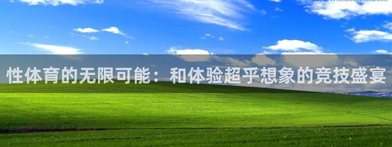 3377体育官网下载是干嘛的公司