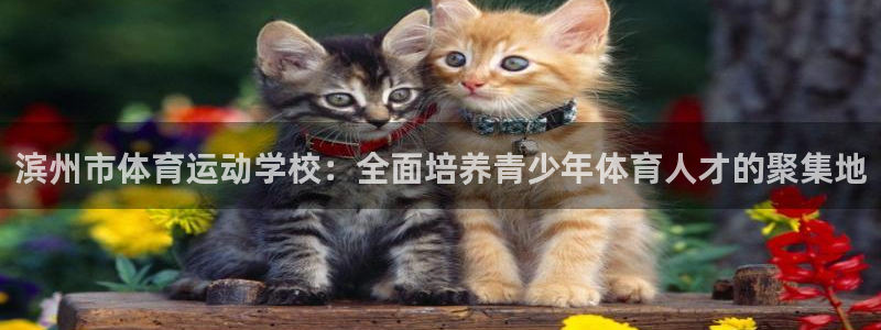 3377体育官网下载是干嘛的公司：滨州市体育运动学校：全面培
