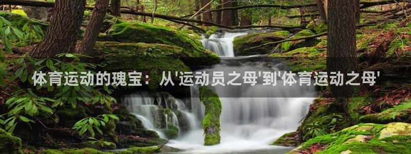 3377体育官方正版app五金厂