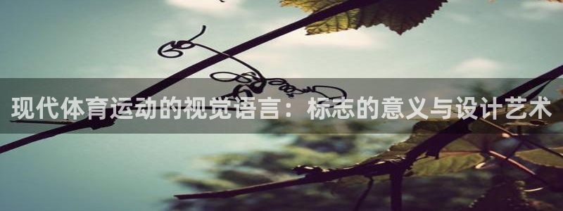 3377体育官网下载官方客服电话：现代体育运动的视觉语言：标