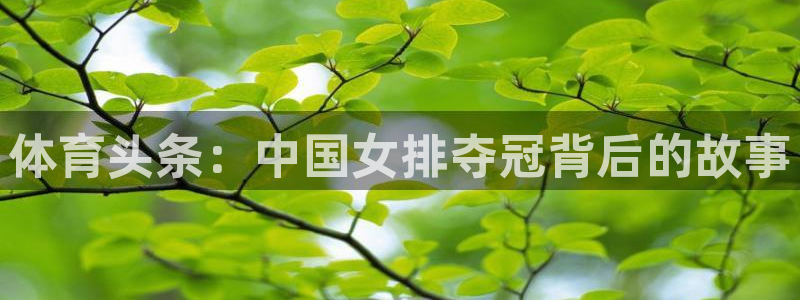 3377体育官网下载招商电话是多少啊