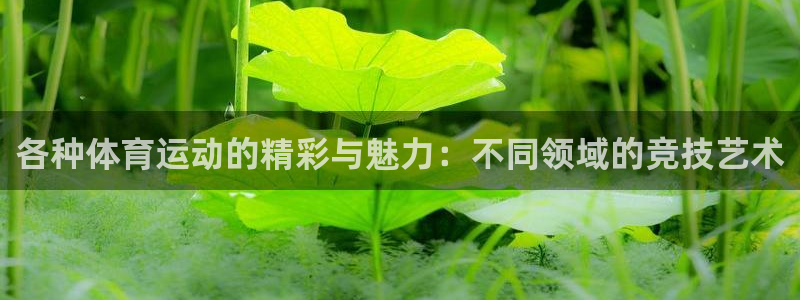 3377体育官网下载平台：各种体育运动的精彩与魅力：