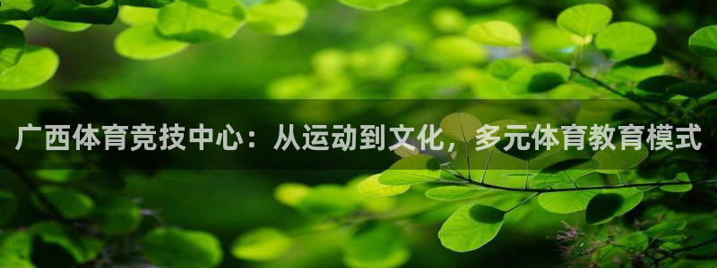 3377体育官方正版app娱乐是那个系列的台子：广西体育竞技