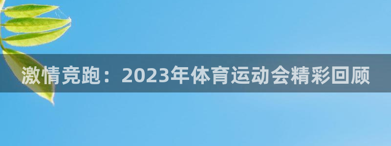 德国3377体育官方正版app集团：激情竞跑：2023年体育