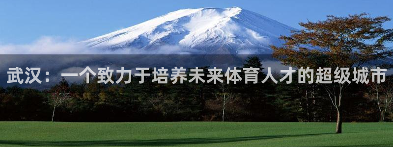 3377体育官方正版app开户