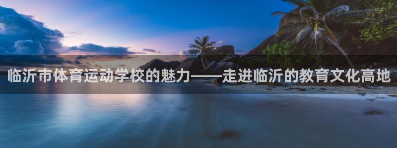 3377体育官网下载平台注册流程图：临沂市体育运动学校的魅力