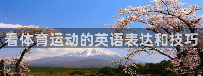 3377体育官方正版app娱乐代理怎么样：看体育运动