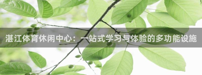 3377体育出款正常不
