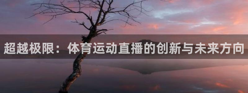  3377体育被国家取消了吗今天：超越极限：体育运动直播的创新