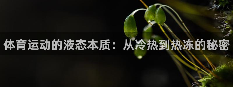 3377体育是割韭菜平台吗知乎：体育运动的液态本质：从冷热到