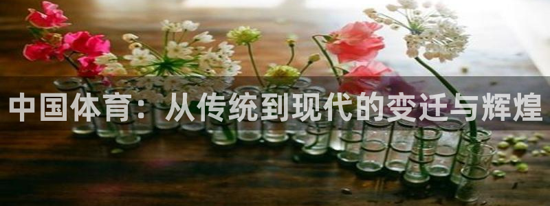  3377体育在线官网：中国体育：从传统到现代的变迁与辉煌
