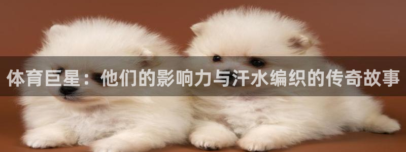 3377体育在哪个国家运营：体育巨星