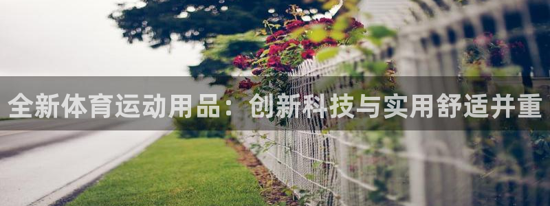 3377体育被国家取消了吗：全新体育运动用品：创新科技与实用