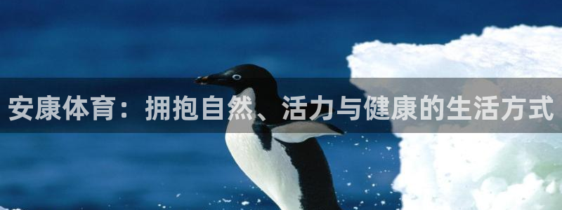3377体育app倒闭了吗知乎：安康