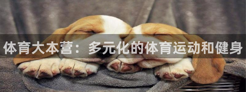 3377体育退款最新政策：体育大本营