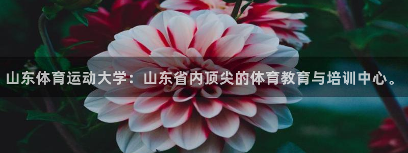 3377体育在哪个国家运营：山东体育运动大学：山东省内顶尖的