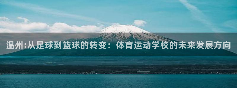 3377体育手机平台：温州:从足球到