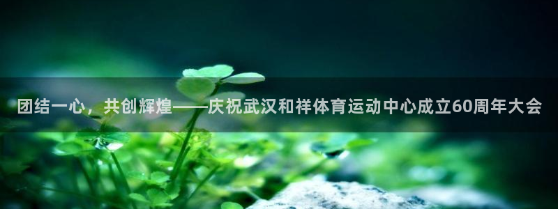 3377体育合法吗：团结一心，共创辉煌——庆祝武汉和祥体育运