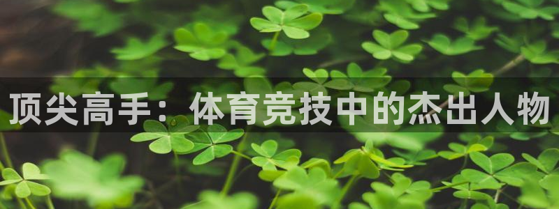3377体育游戏：顶尖高手：体育竞技中的杰出人物