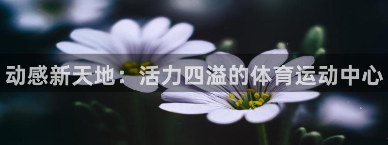 3377体育在线官网：动感新天地：活力四溢的体育运动中心