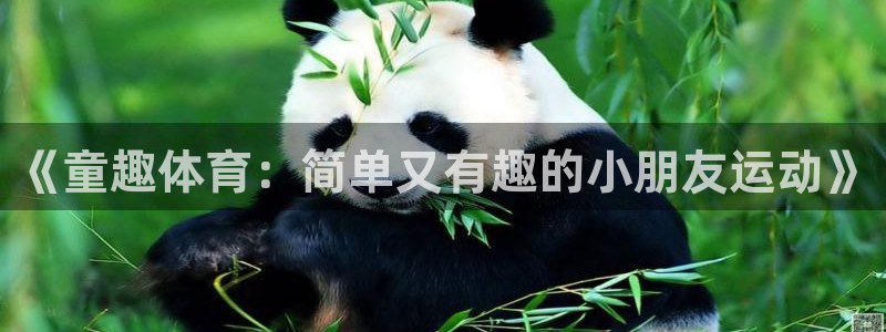 3377体育是什么：《童趣体育：简单又有趣的小朋友运动》