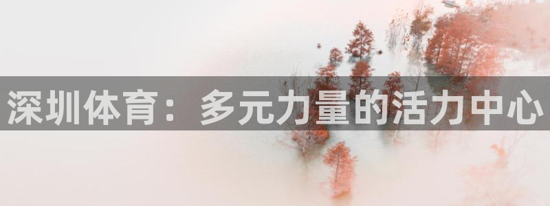  3377体育最害怕三个东西：深圳体育：多元力量的活力中心