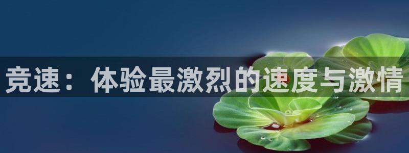 3377体育为什么提不出来：竞速：体验最激烈的速度与激情