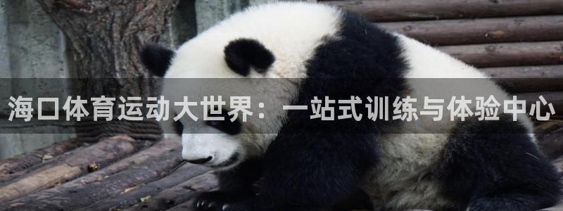 3377体育犯法吗