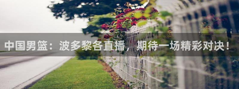 河豚体育直播在线播放：中国男篮：波多黎各直播，期待一场精彩对决！