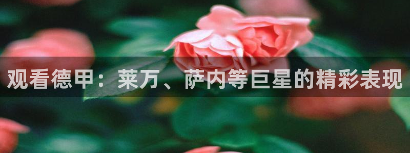 河豚体育直播app下载：观看德甲：莱万、萨内等巨星的精彩表现