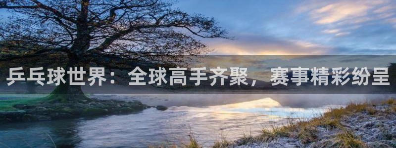 河豚nba直播：乒乓球世界：全球高手齐聚，赛事精彩纷呈