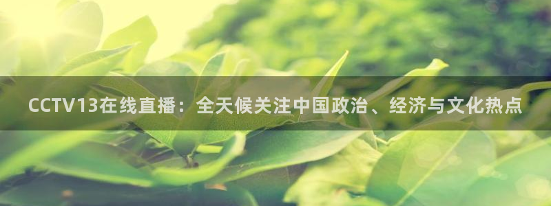河豚直播在线看球：CCTV13在线直播：全天候关注中国政治、经济与文化热点