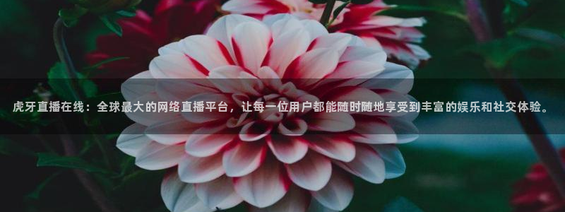 河豚免费nba在线直播：虎牙直播在线：全球最大的网络直播平台，让每一位用户都能随时随地享受到丰富的娱乐和社交体验。