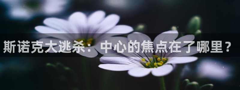 河豚体育直播看球app：斯诺克大逃杀：中心的焦点在了哪里？