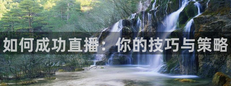河豚nba直播官网：如何成功直播：你的技巧与策略