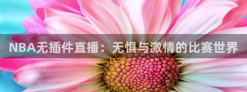 河豚体育在线直播：NBA无插件直播：无惧与激情的比赛世界