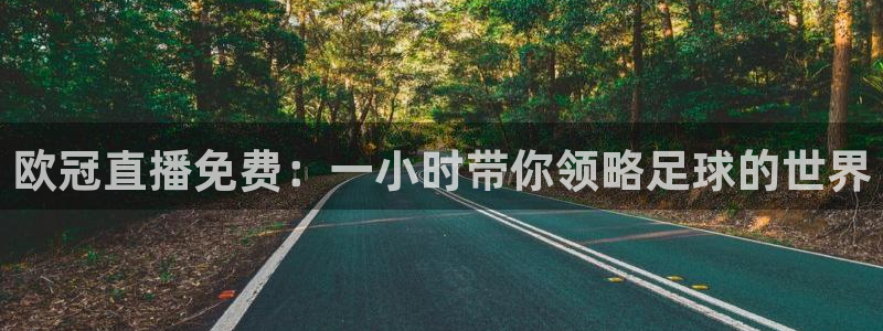 河豚体育直播：欧冠直播免费：一小时带你领略足球的世界