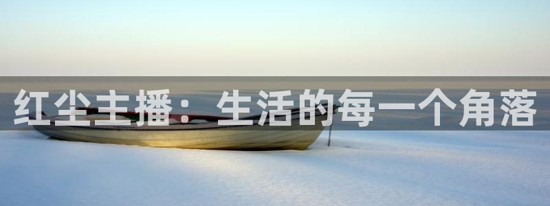 河豚免费nba在线直播：红尘主播：生活的每一个角落