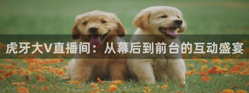 河豚体育在线直播：虎牙大V直播间：从幕后到前台的互动盛宴
