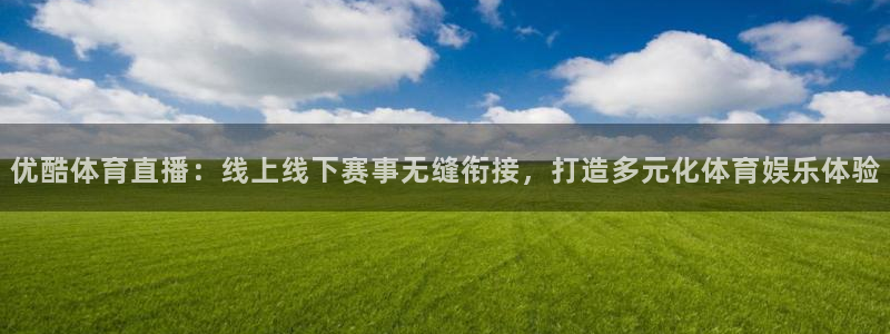 河豚足球直播：优酷体育直播：线上线下赛事无缝衔接，打造多元化体育娱乐体验